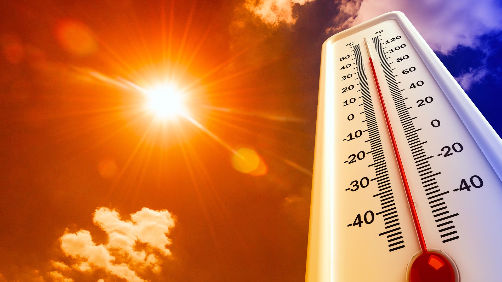 Industrial & Electrical Instrumentation Products - DG Instruments – DG ...